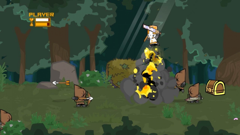Castle Crashers PSN - Team Arena !