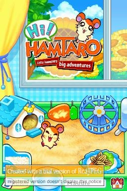 Hi! Hamtaro: Ham-Ham Challenge for Nintendo DS - Screenshots